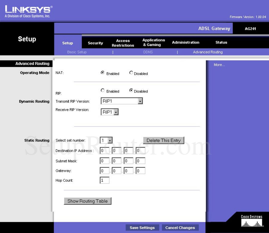 Linksys AG241 Screenshot Advanced Routing