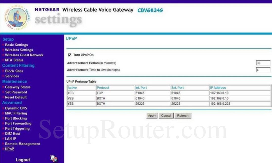 upnp or nat pmp on netgear router