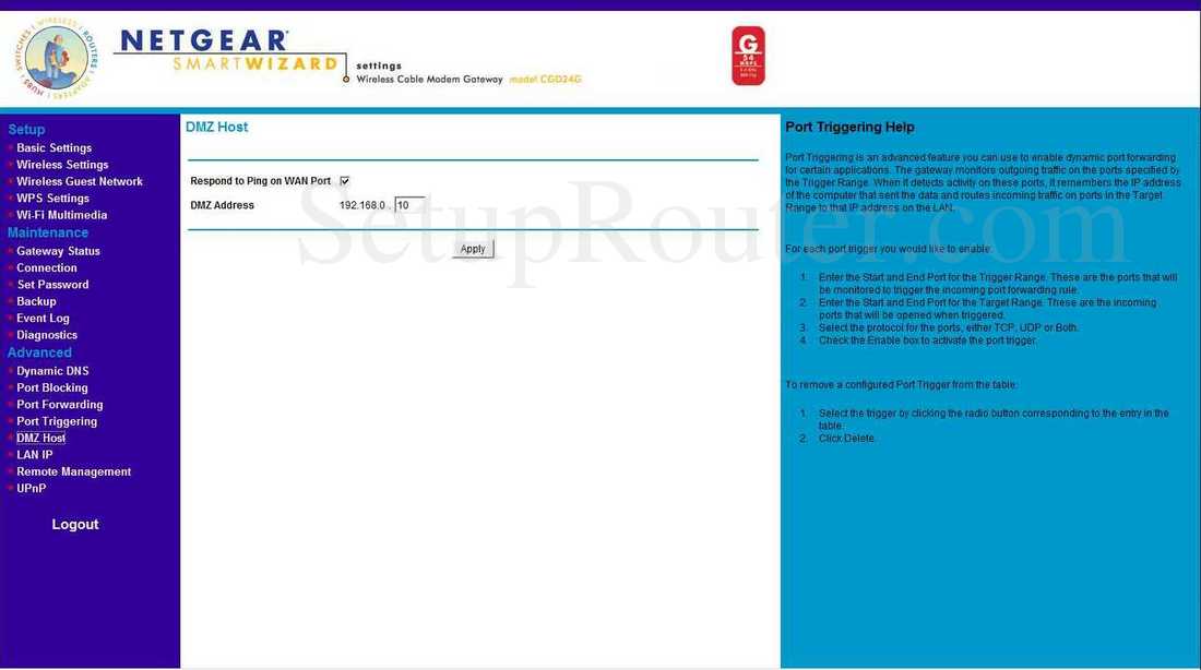 Netgear CGD24G Screenshot DMZ Host