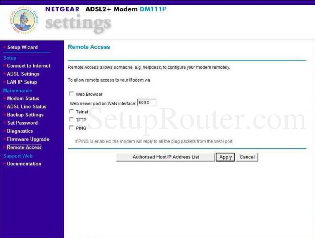 Netgear DM111Pv2 Screenshot Remote Access