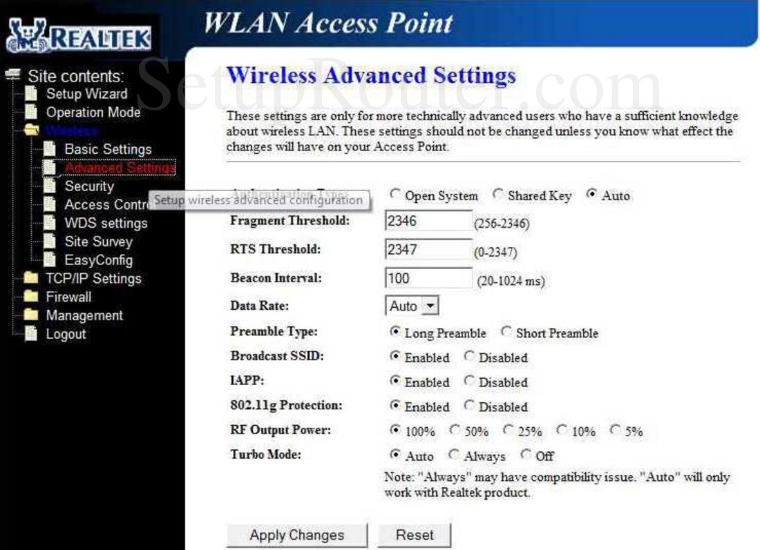 RealTek RT3500 Screenshot Wireless Advanced Settings