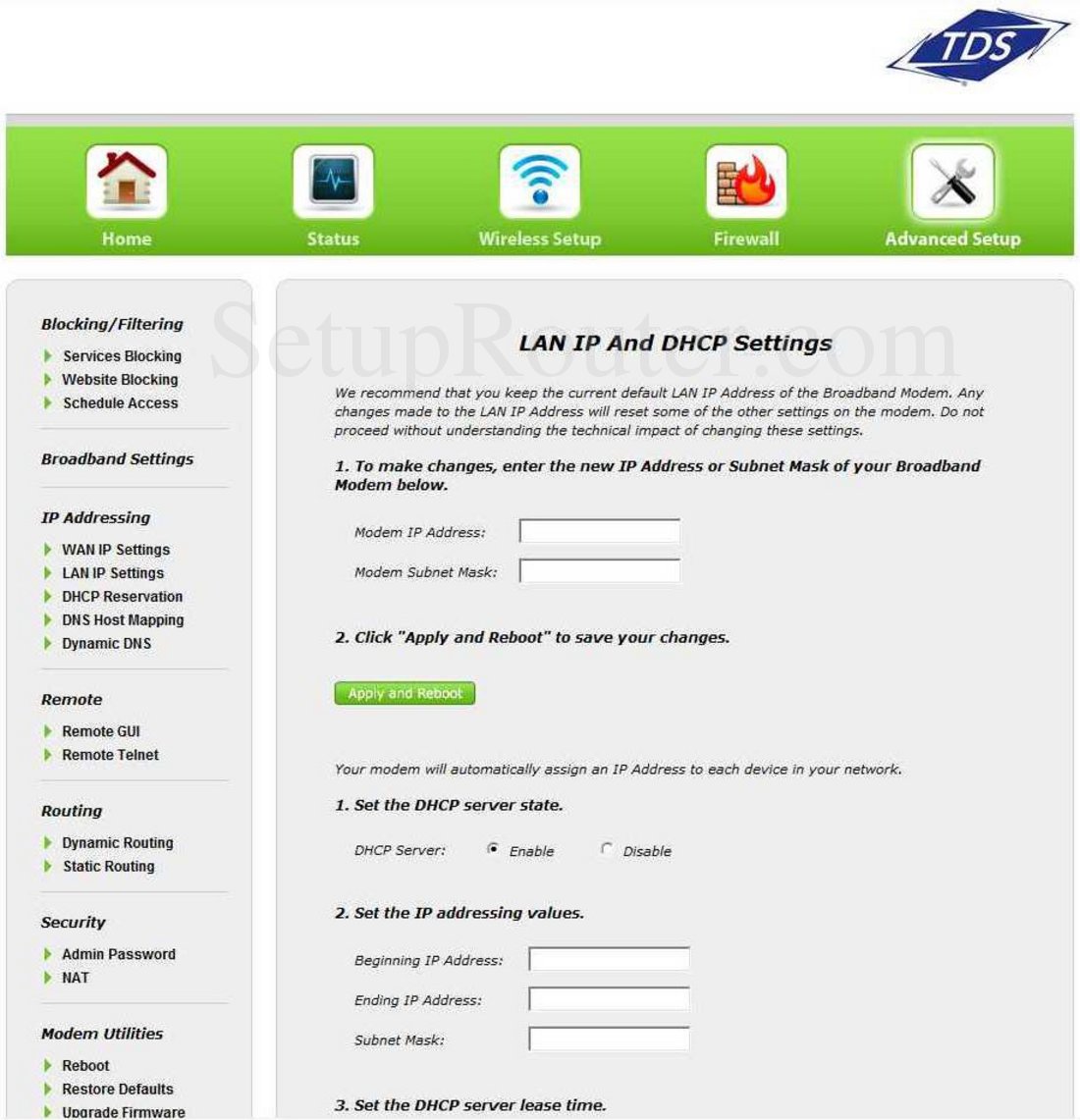TDS GT784WN Screenshot LAN IP and DHCP Settings